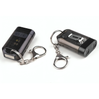 PL  278  Ліхтарик ручний брєлок 1/24