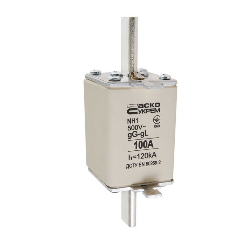 Запобіжник ножовий з плавкою вставкою NH1 100A gG - 2