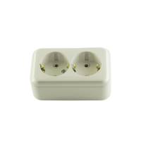 Розетка зовнішня 2-а із заземленням Bylectrica Пралеска біла РА16-261