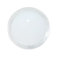 SL-D03-M-350-50-P2 НЛО белый стеклянный ободок SUN LED