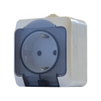 Розетка 2Р+PE з прозорою кришкою  РЗ16-З-IP44N