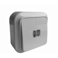 Выключатель внешний 2-й с подсветкой Bylectrica Пралеска белый А5 10-215