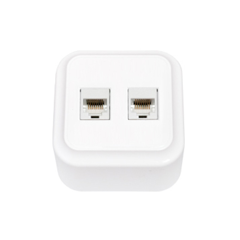 Розетка зовнішня  2-а комп'ютерна Bylectrica Пралеска біла РК216-005